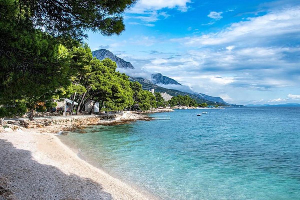 pogled na plažo z drevesi in vodo