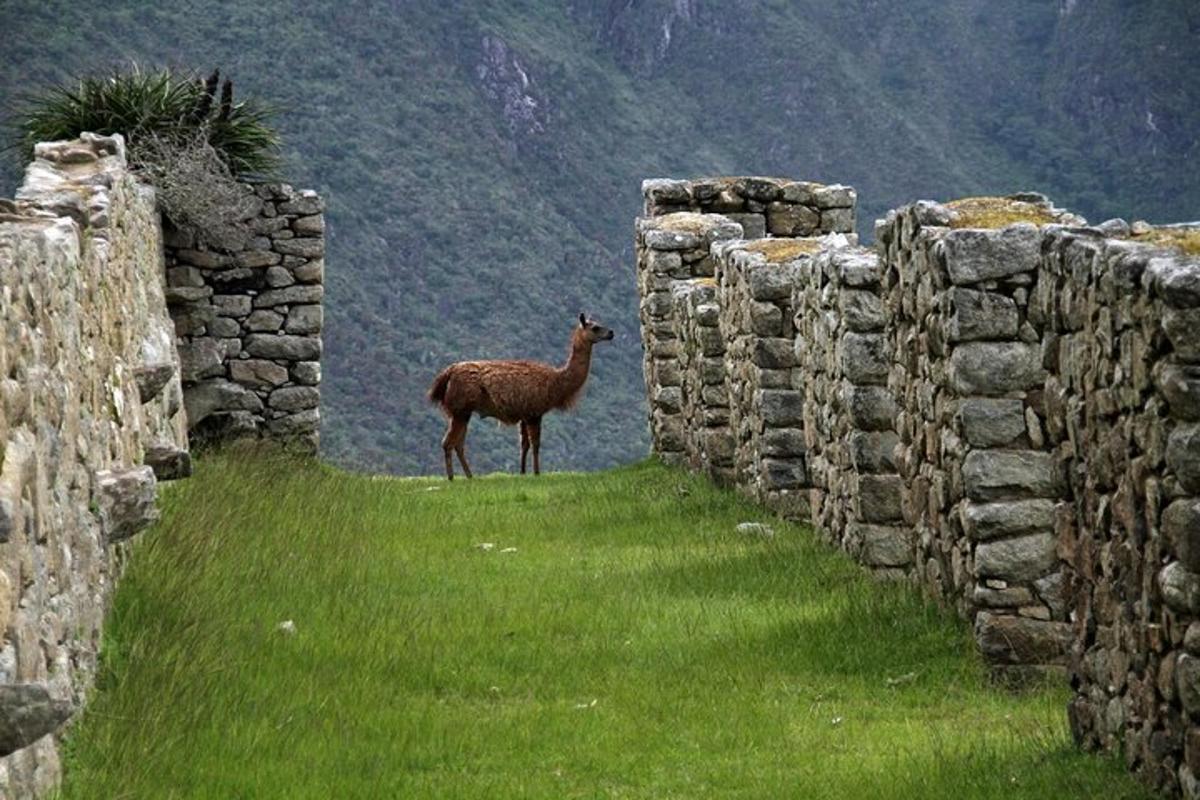 Lankytinos vietos ar pramogos nuotrauka numeris 6