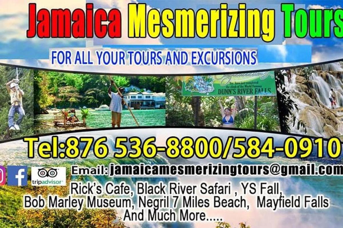 a flyer for a magazine with a picture of a park