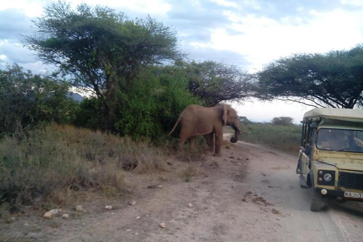 an elephant standing on a dirt road next to a truck