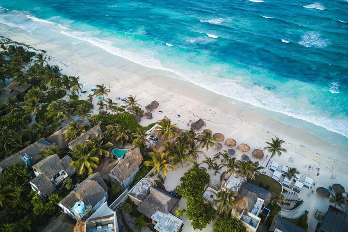 uma vista aérea de uma praia com palmeiras e o oceano