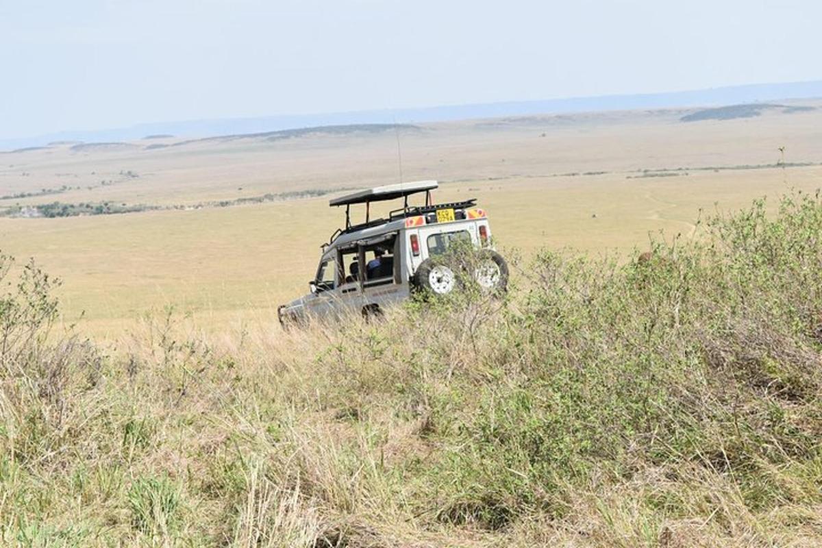 kenderaan safari di tengah padang