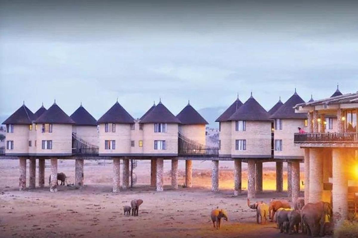 un grup d'animals drets davant d'un gran edifici