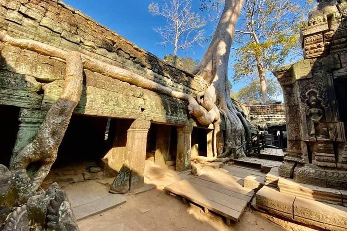 un edificio con un albero che cresce sul lato