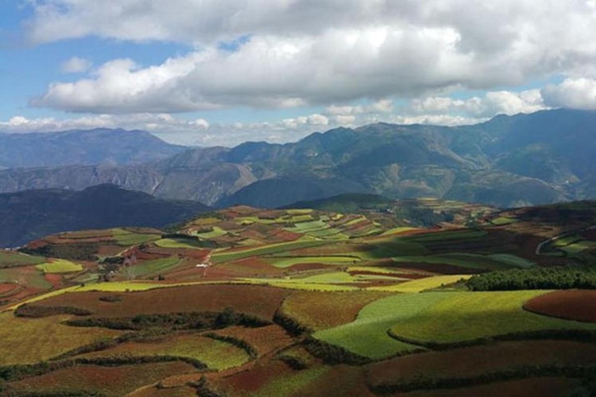 Fotografia da atração 1