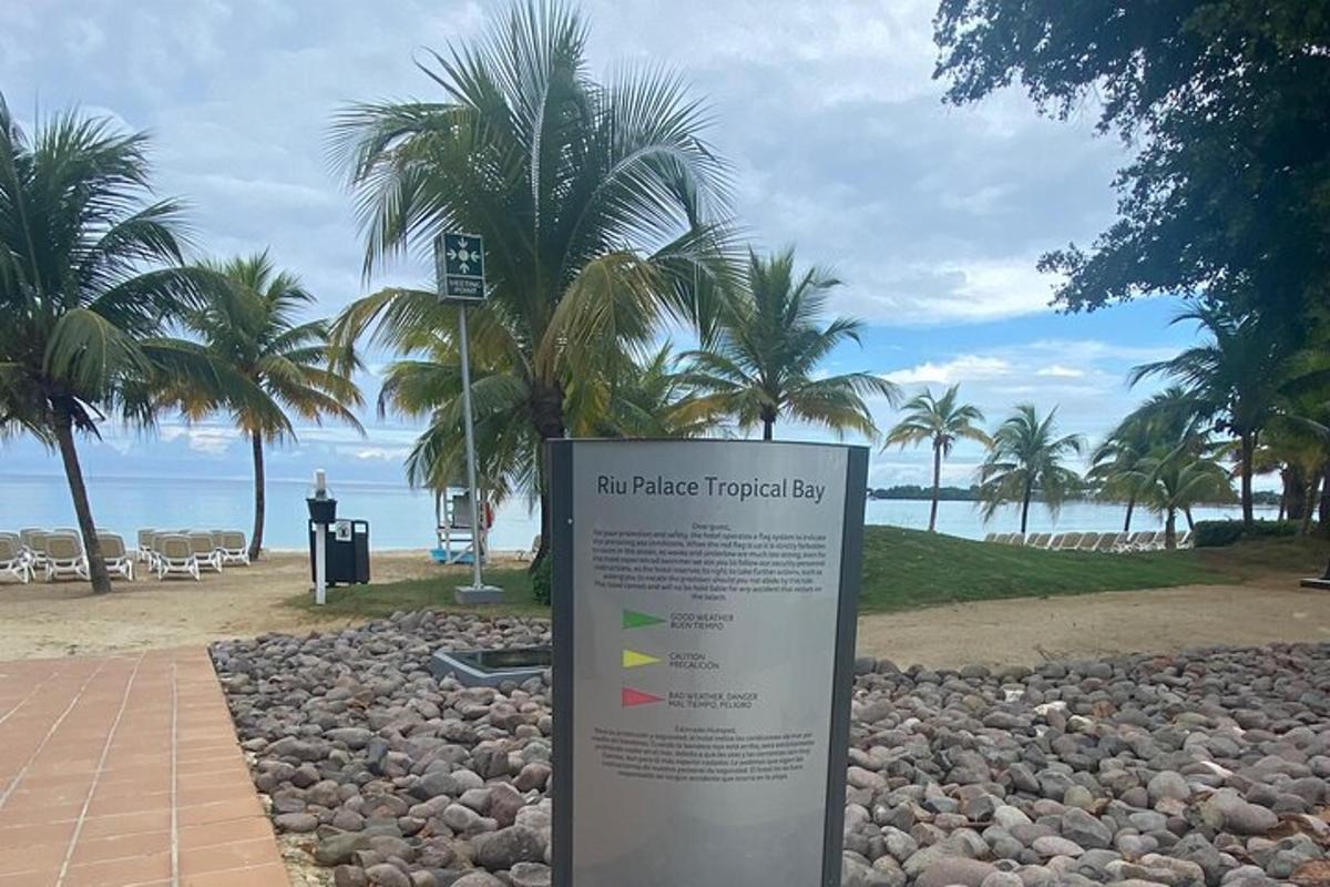 tanda di hadapan pantai dengan pokok palma