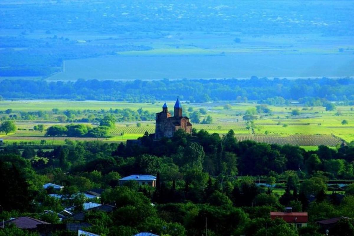 starý hrad na vrcholu kopce se stromy