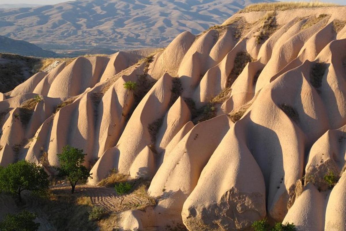 un gruppo di dune di sabbia nel deserto