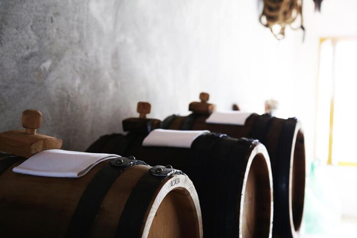una fila di botti di vino allineate in una stanza