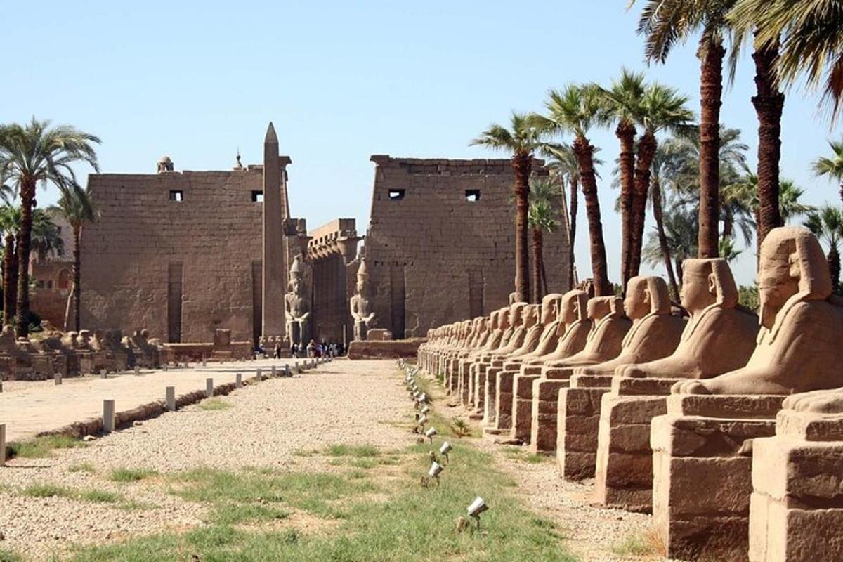 a row of statues in front of a building with palm trees