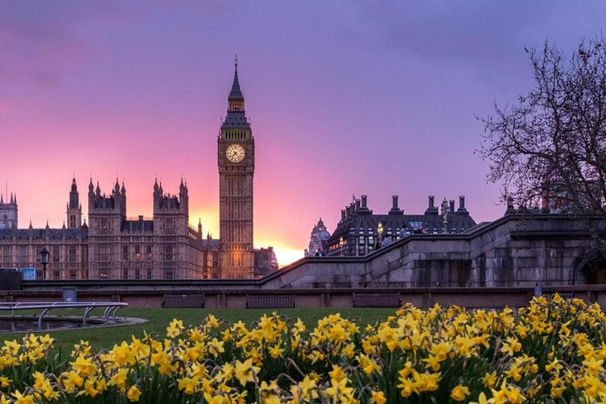 Pohled na Big Ben a budovy parlamentu se žlutými květinami