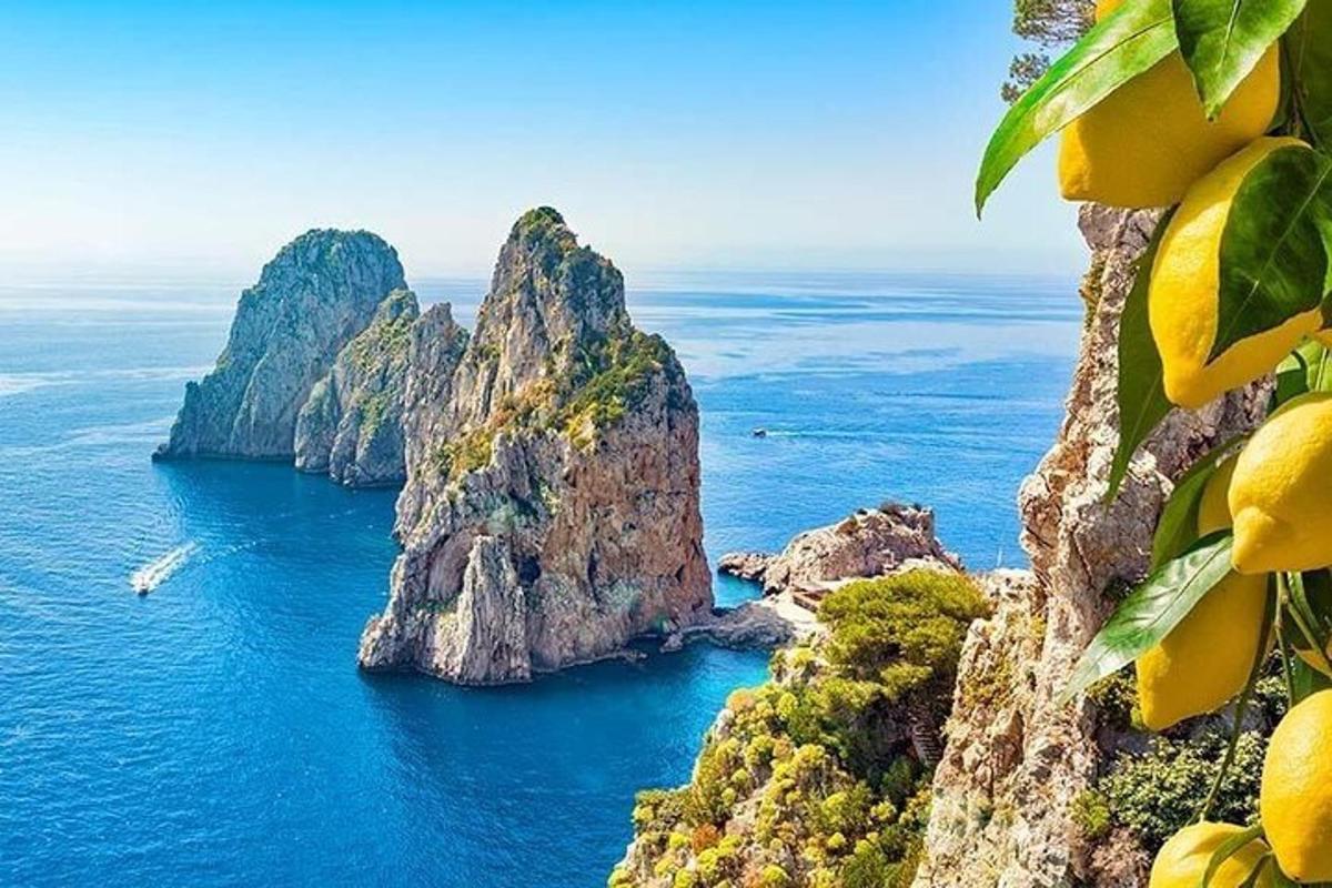 o insulă în ocean cu un buchet de lămâi
