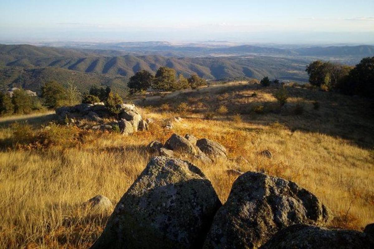 una vista di un campo con rocce nell'erba