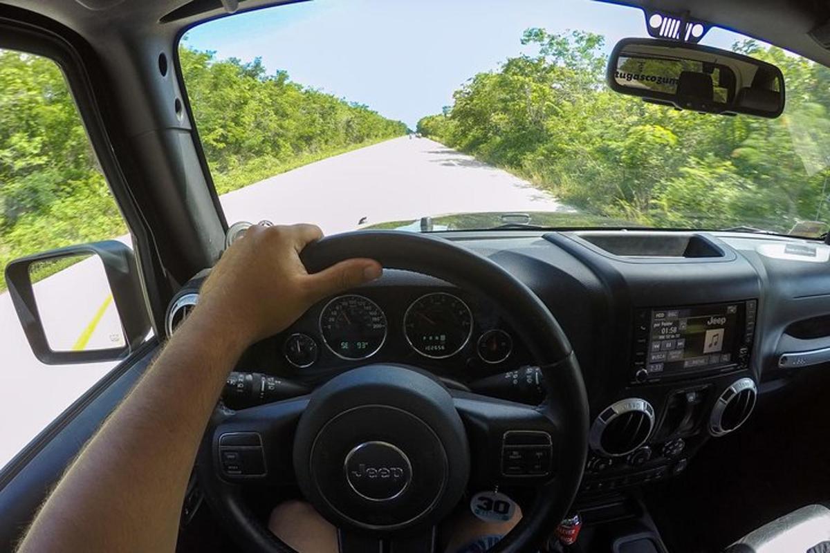 osoba řídící auto na silnici