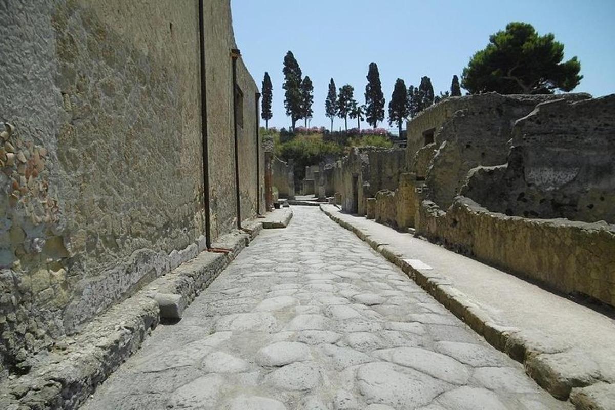 an alley with trees and a stone road