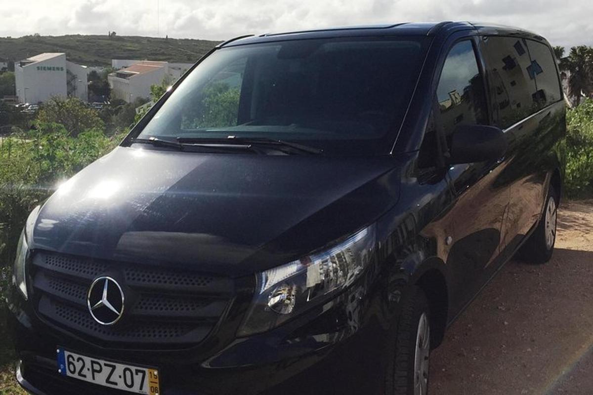 Černá dodávka Mercedes Benz zaparkovaná na silnici