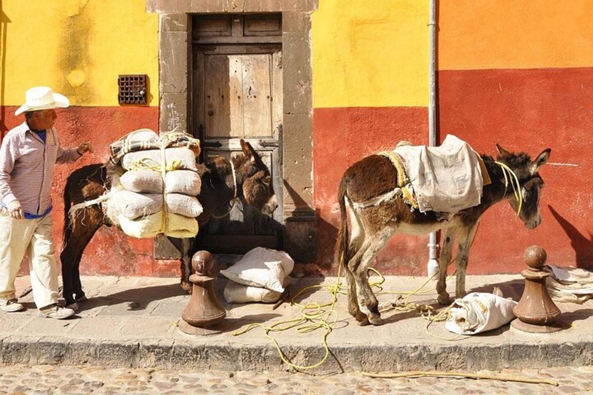Un hombre parado junto a un burro en una calle