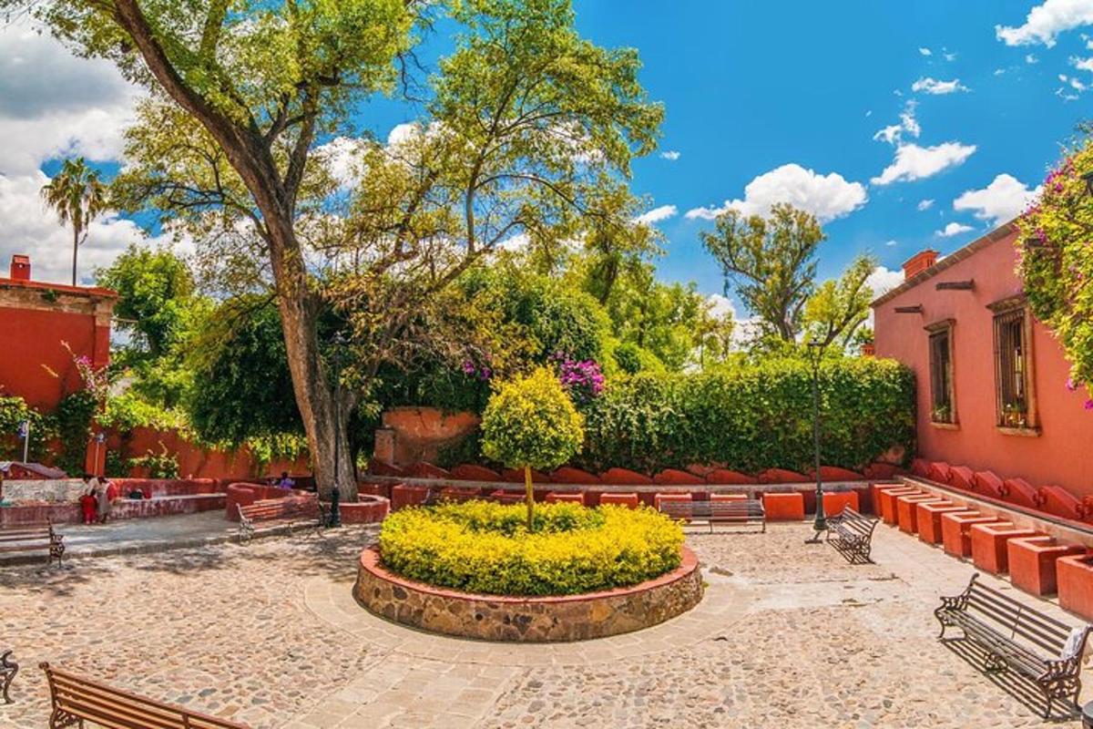 Un parque con bancos y un árbol en un patio.