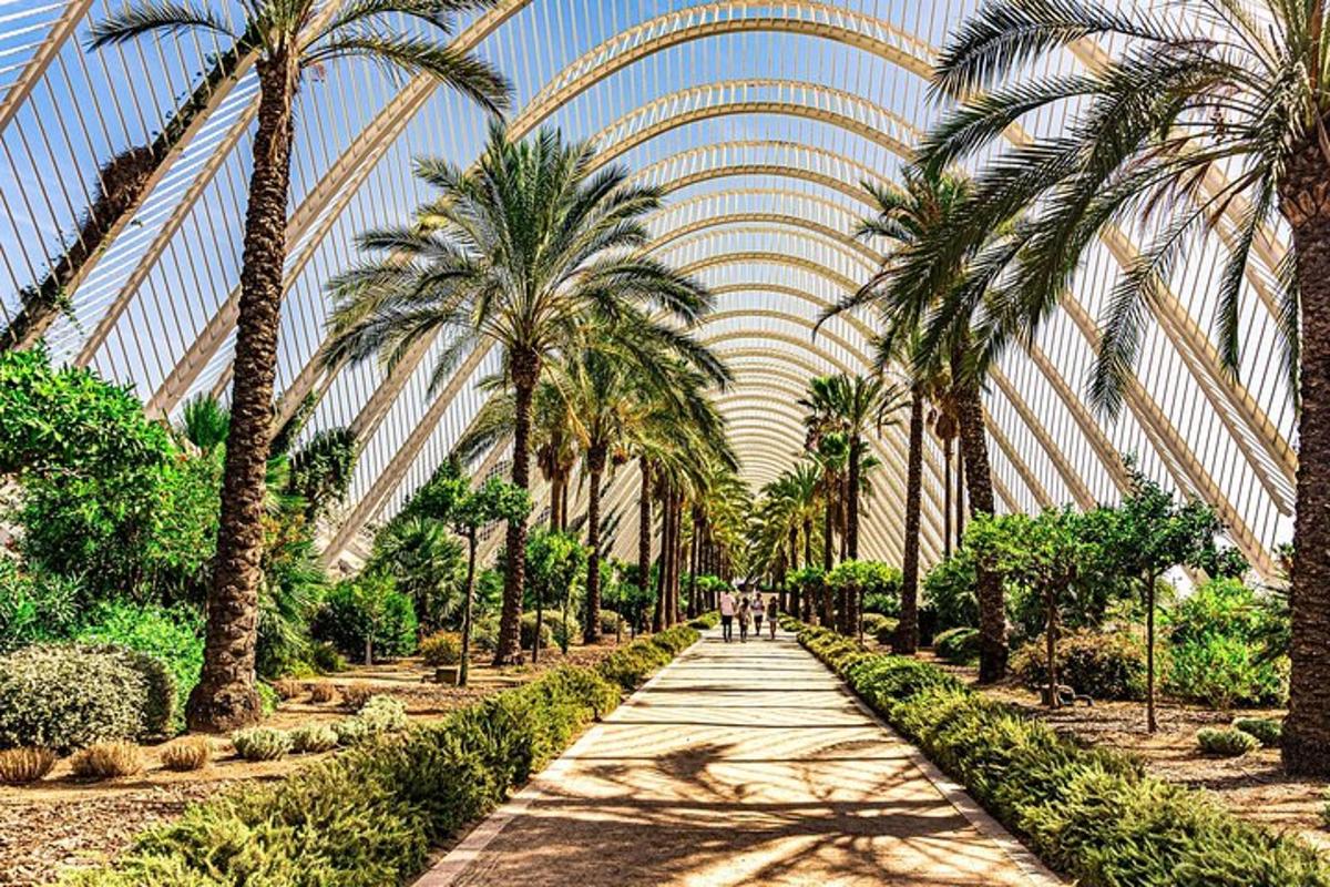 a walkway with palm trees in a greenhouse