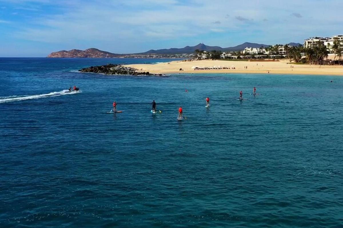 un gruppo di persone su tavole da surf in acqua vicino a una spiaggia