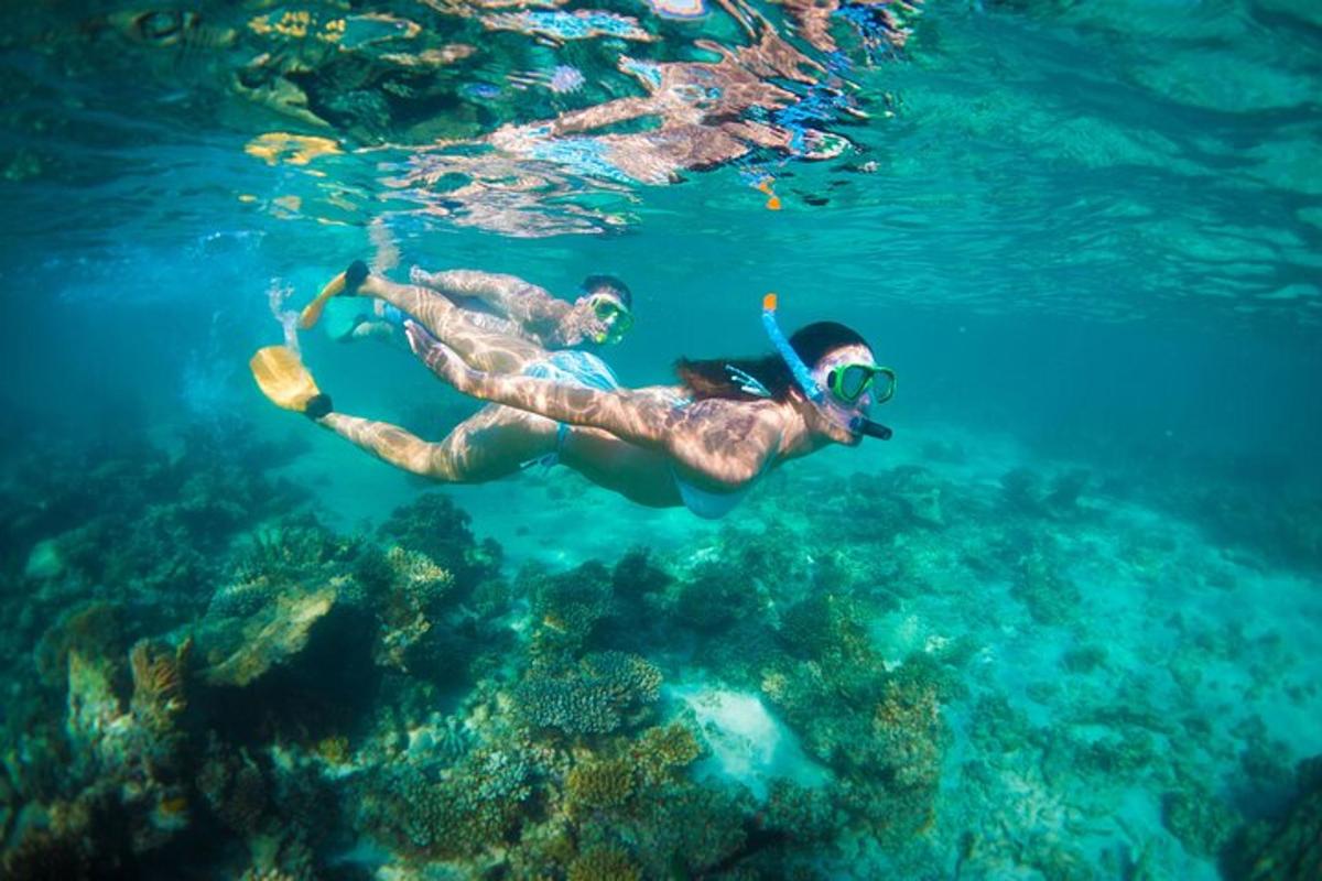 zwei Menschen schwimmen im klaren Wasser