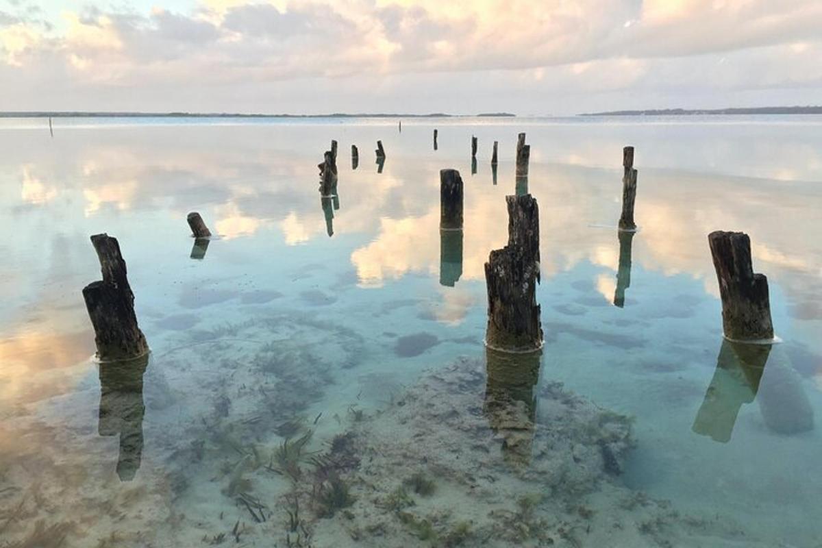 uno specchio d'acqua con pali nell'acqua