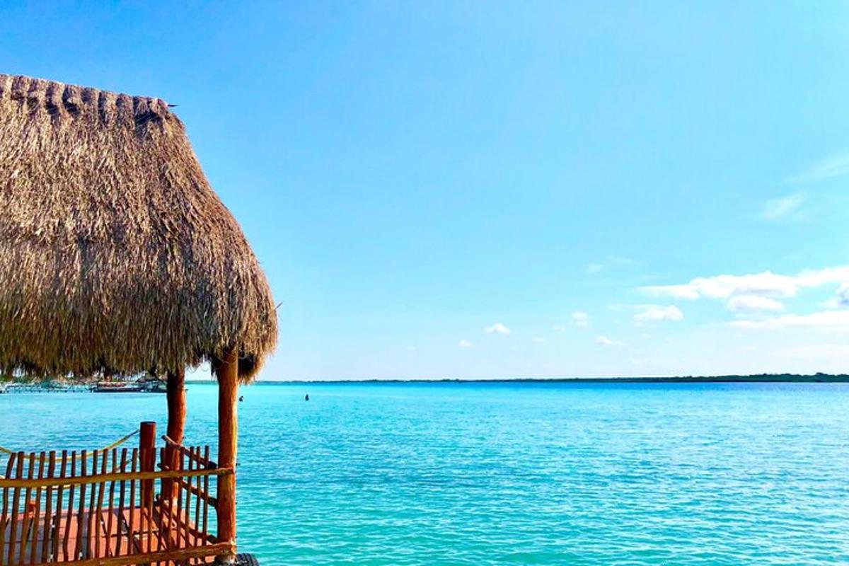 una spiaggia con un ombrellone e l'acqua