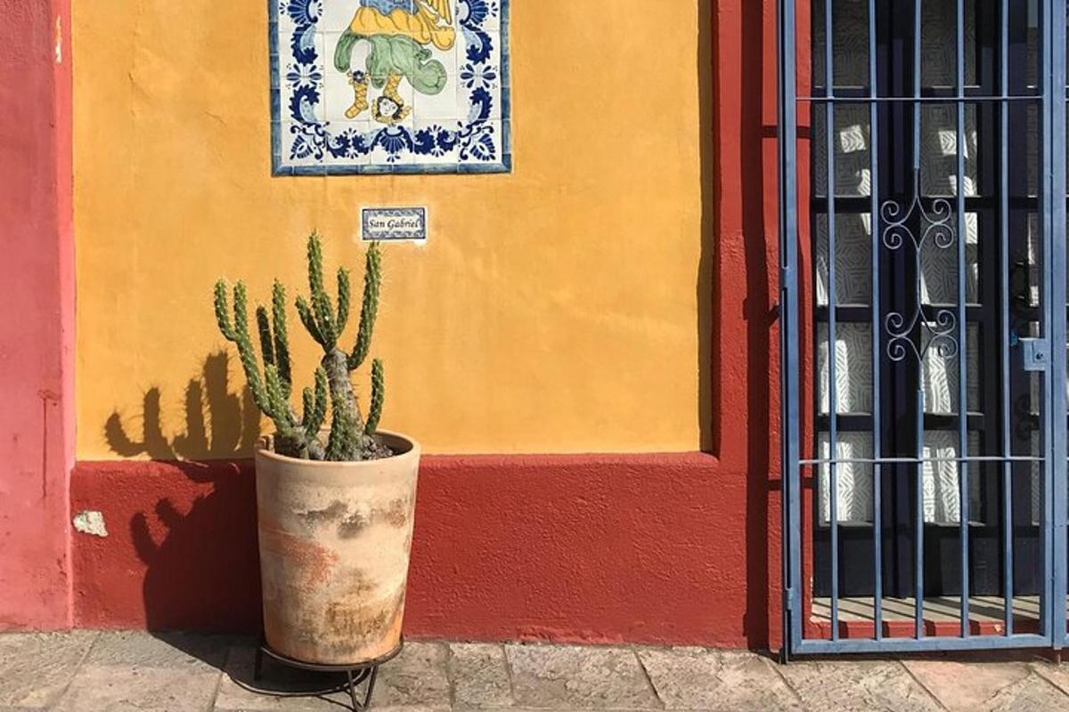 un cactus in un vaso davanti a un edificio