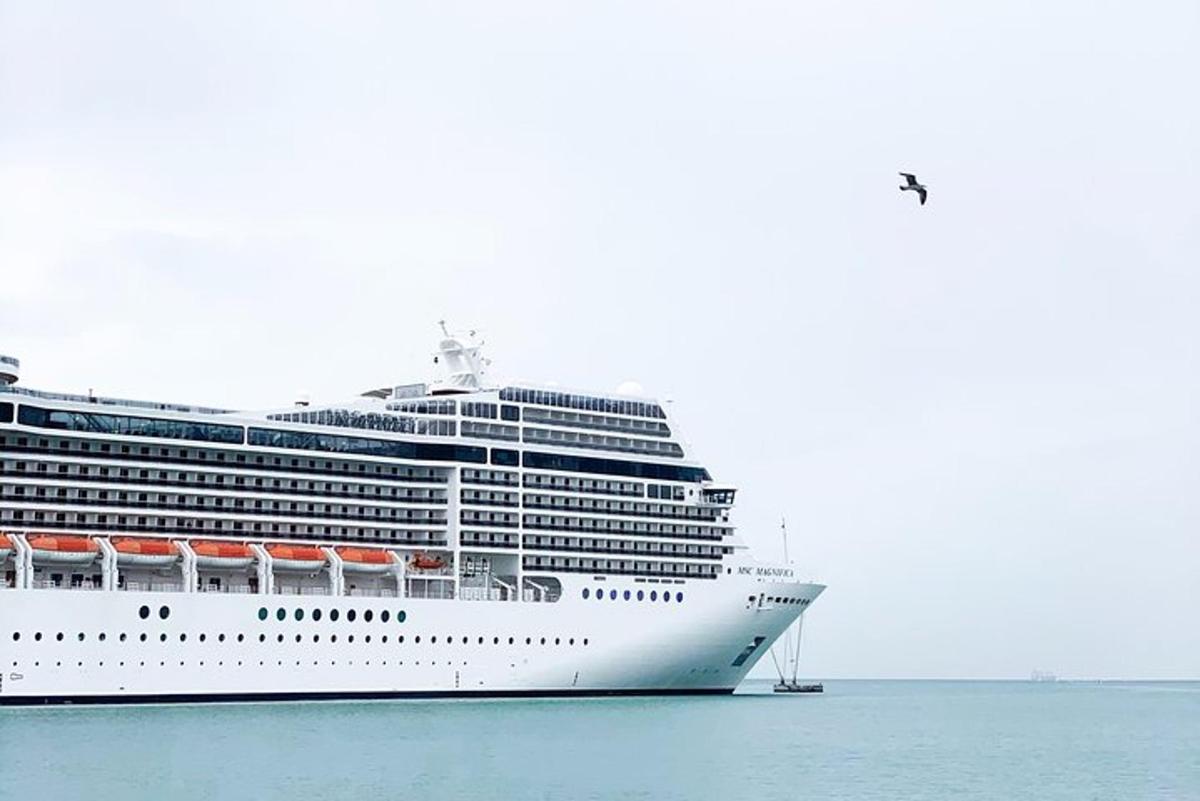 et cruiseskip ligger i havet