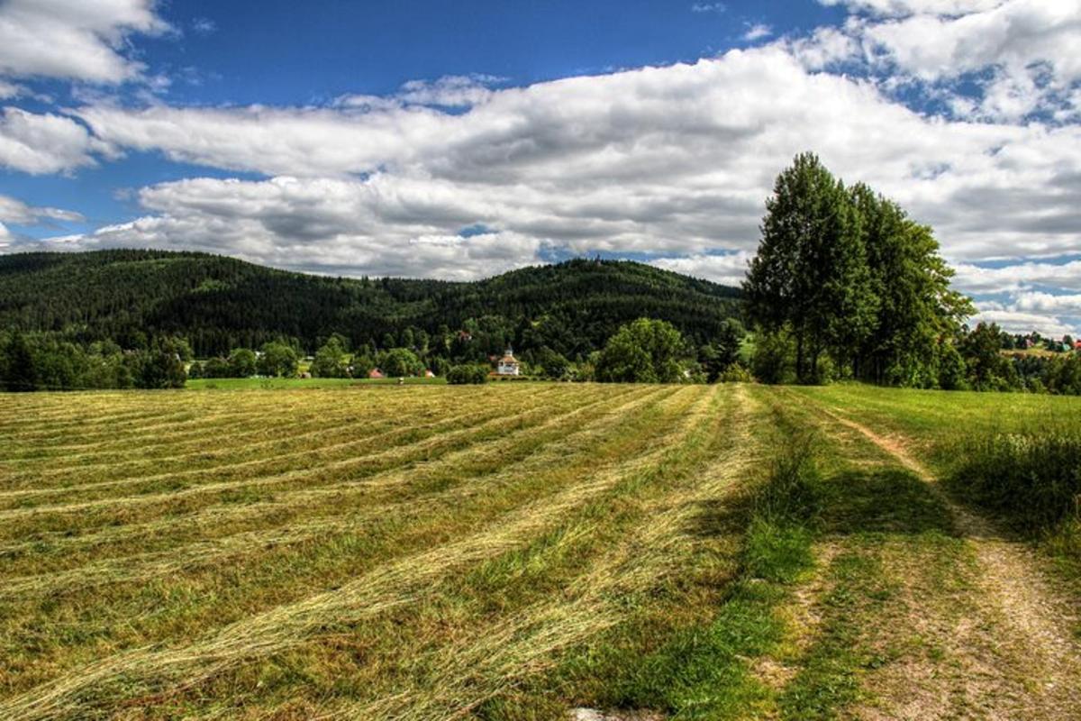 travnaté pole s domem v dálce