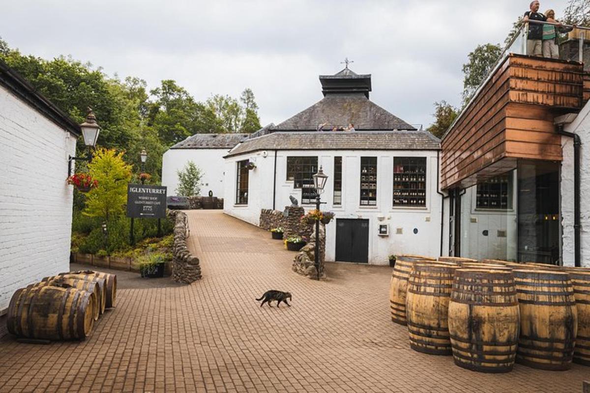a cat walking in front of a building with barrels
