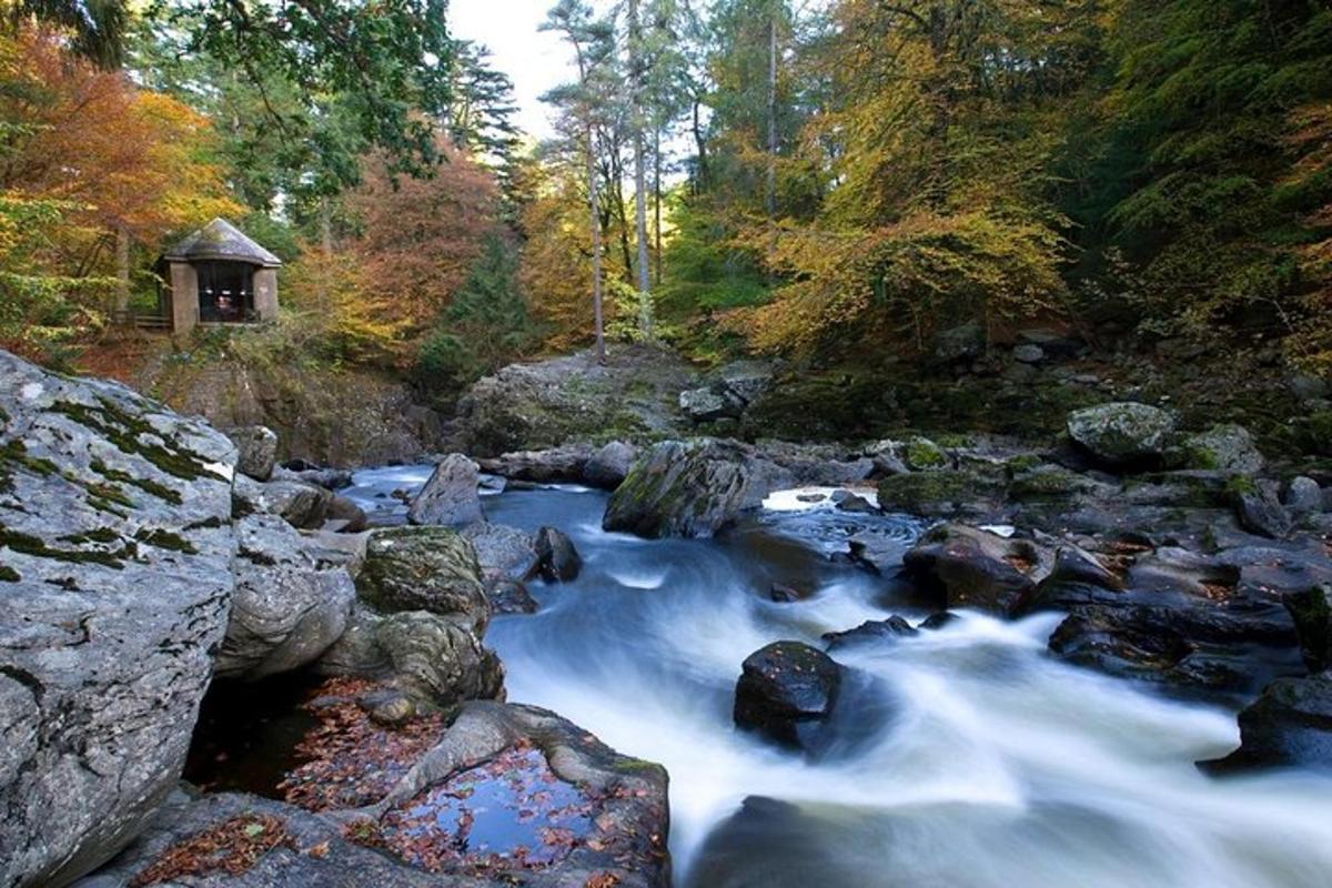 un fiume con rocce e un gazebo in una foresta