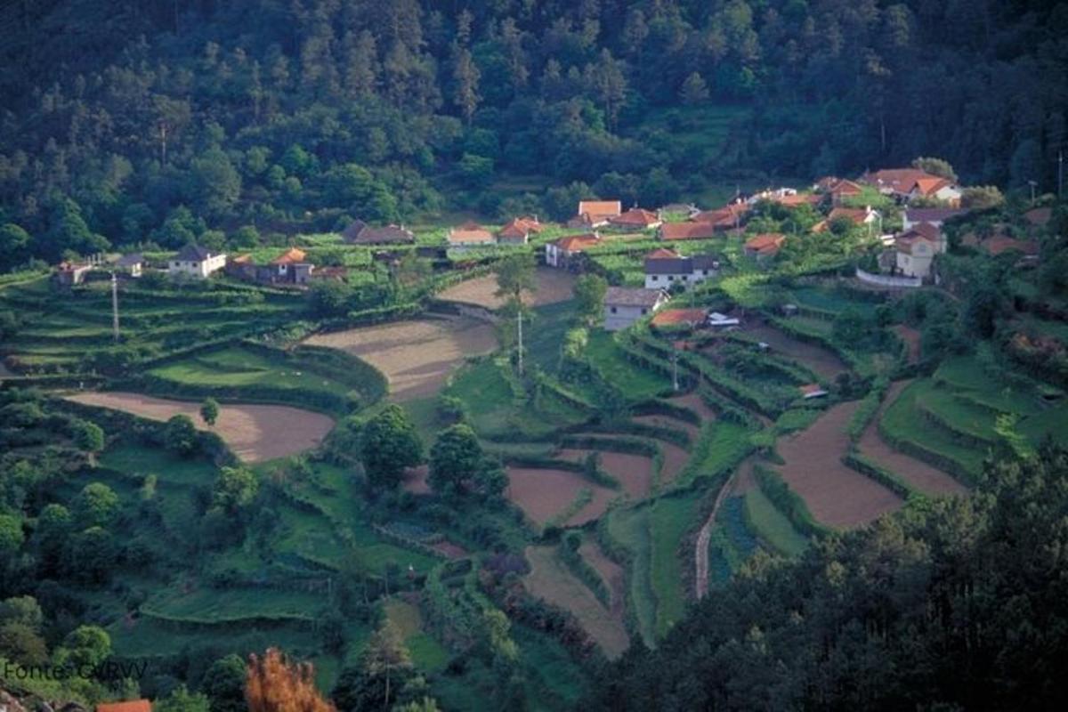 pemandangan udara lapangan golf dengan rumah dan pepohonan