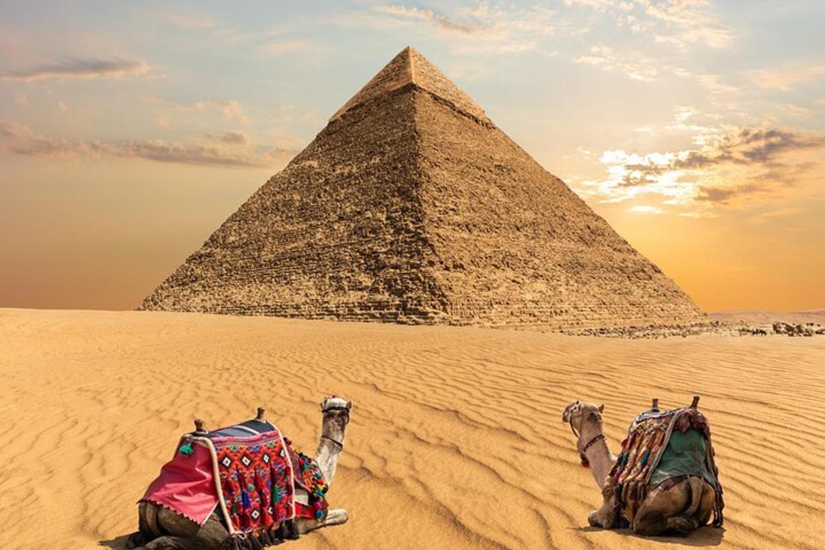 dvije deve ispred piramide u pustinji