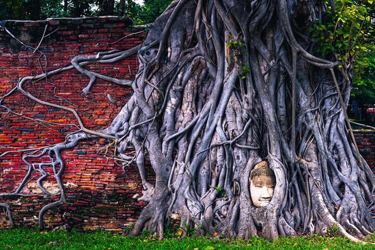 ein Baum mit einem Gesicht in der Mitte