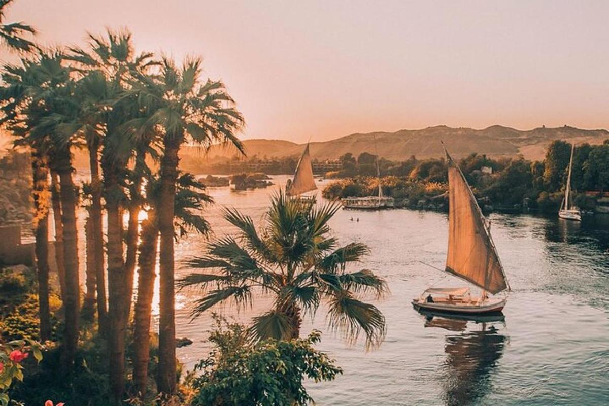 un grup de barques en un riu amb palmeres