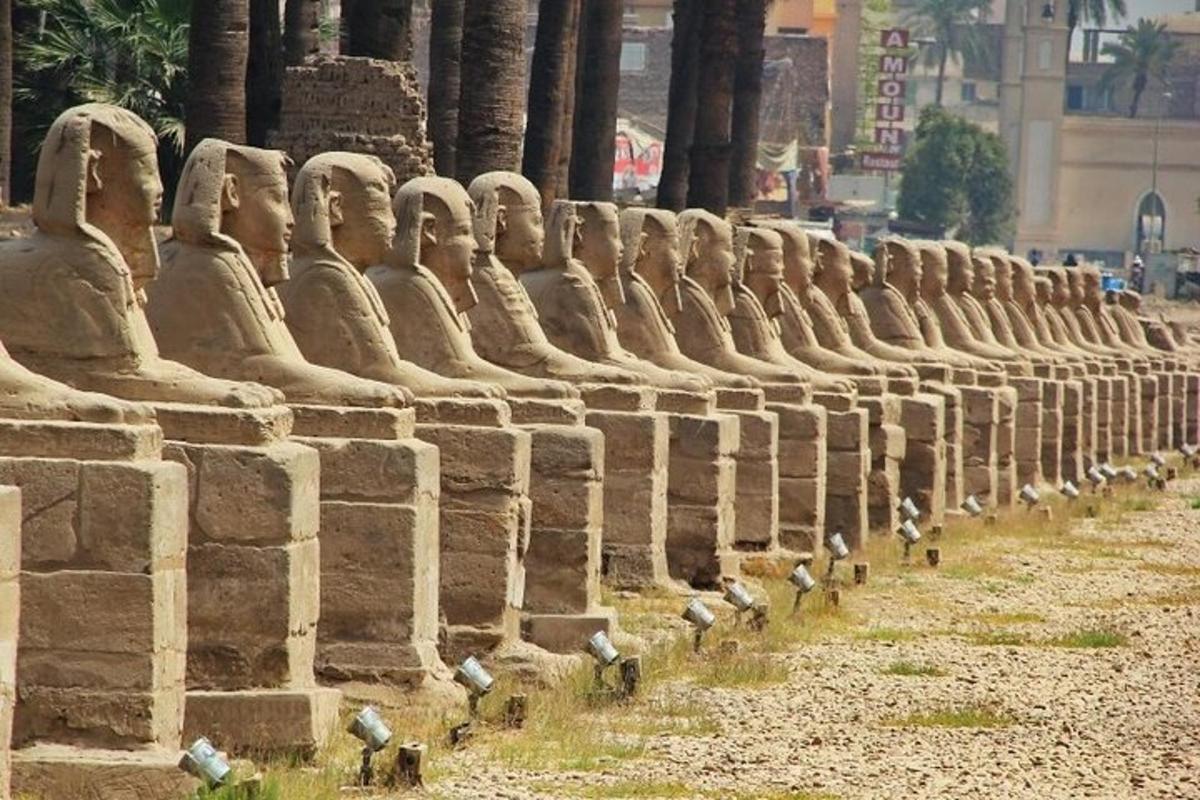 una filera d'estàtues alineades en una paret