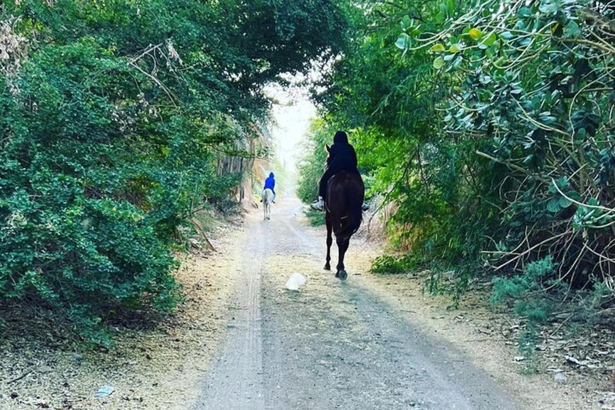 Lankytinos vietos ar pramogos nuotrauka numeris 1