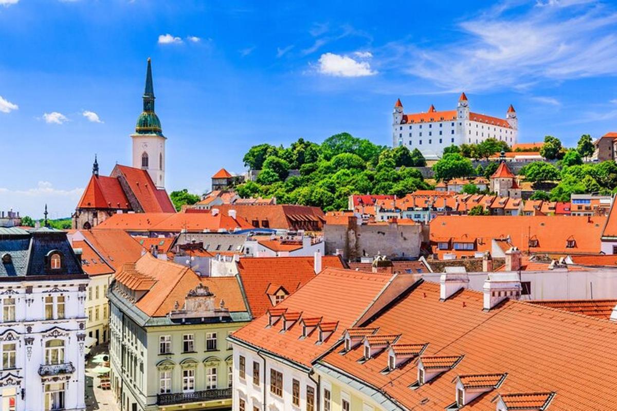 pohled na město s červenými střechami