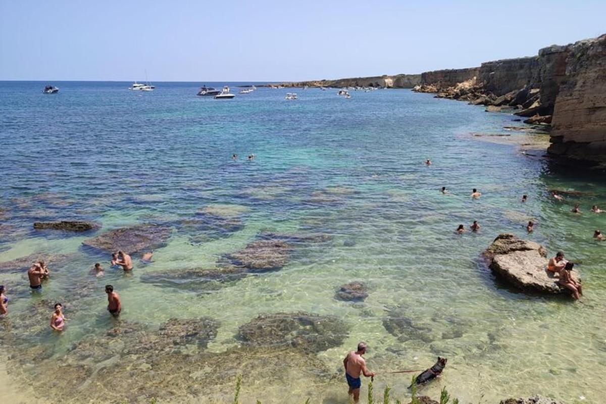 un groupe de personnes dans l'eau sur une plage