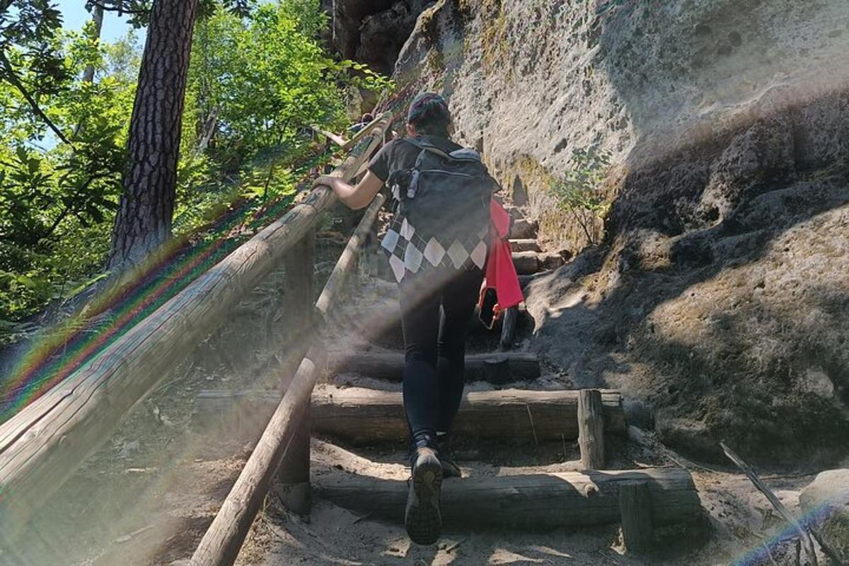 o persoană care urcă o scară
