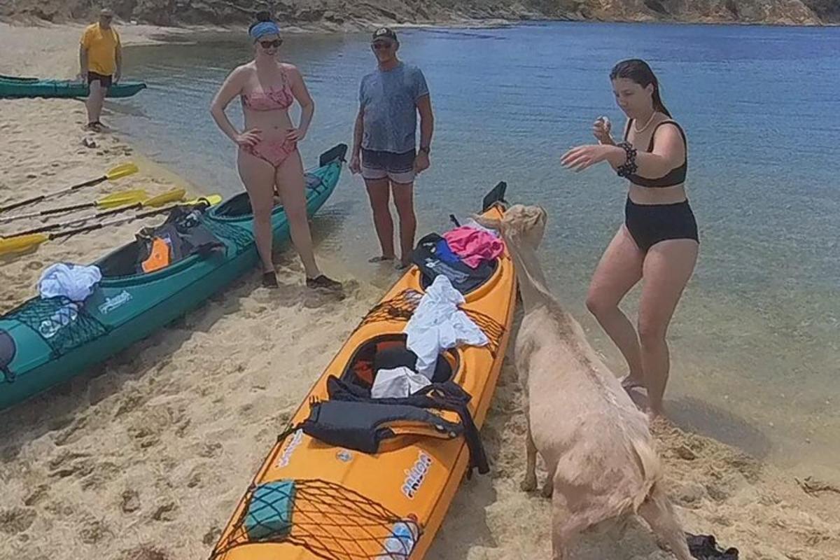 un gruppo di persone in piedi su una spiaggia accanto a un kayak