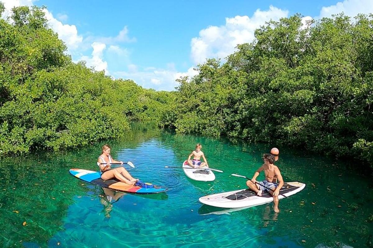 Un grupo de personas sentadas en kayaks en un río.