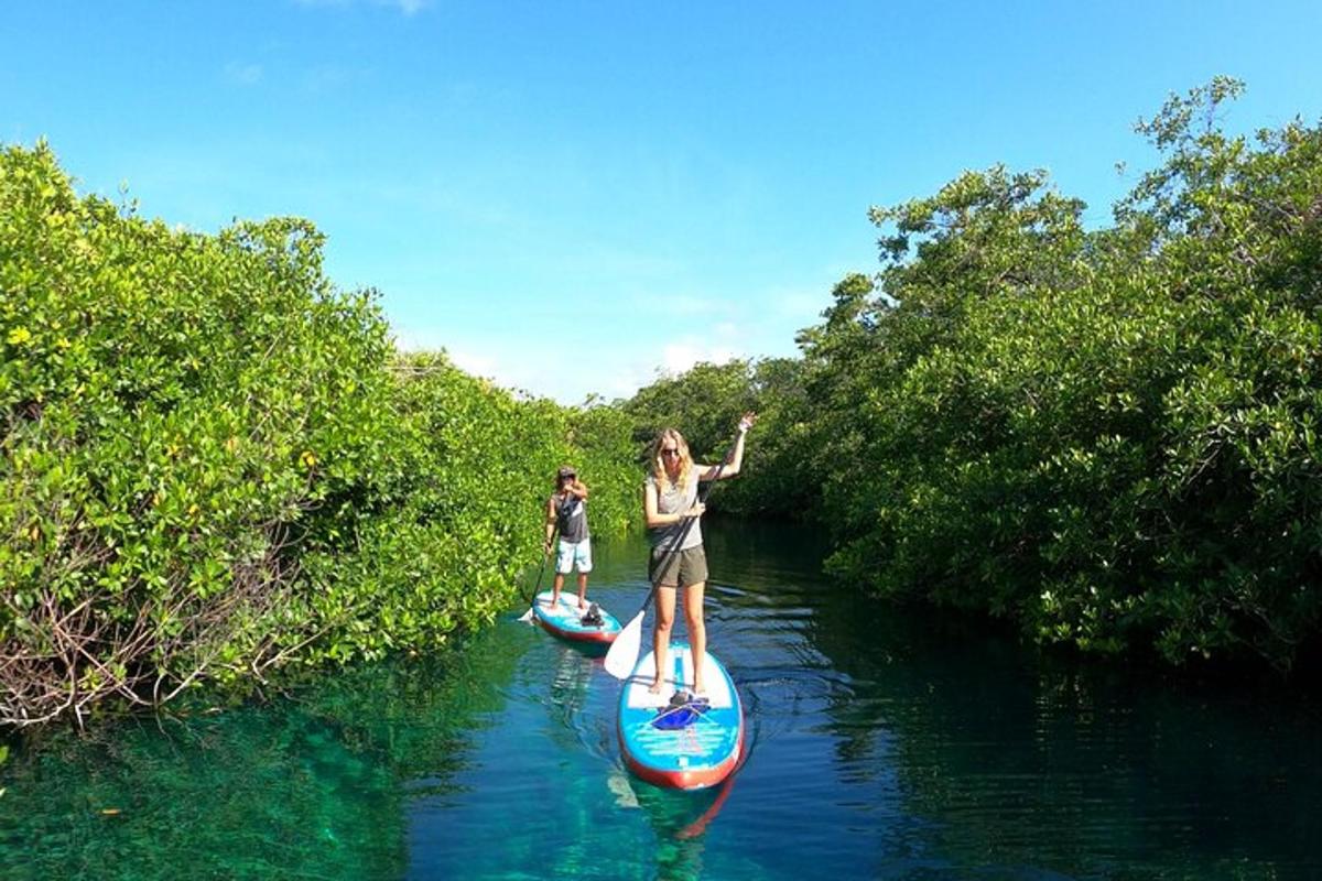 Dos chicas están de pie sobre tablas de paddle surf en un río