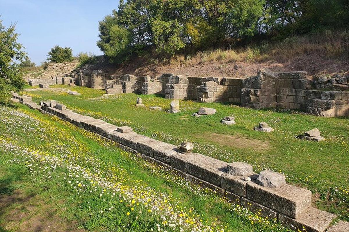 un grup de roques en un camp amb flors