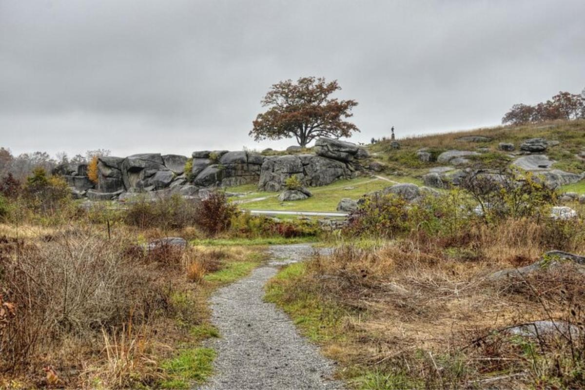 a gravel path on a hill with rocks and a tree