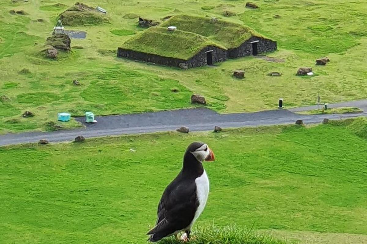 Ljósmynd af afþreyingu 1