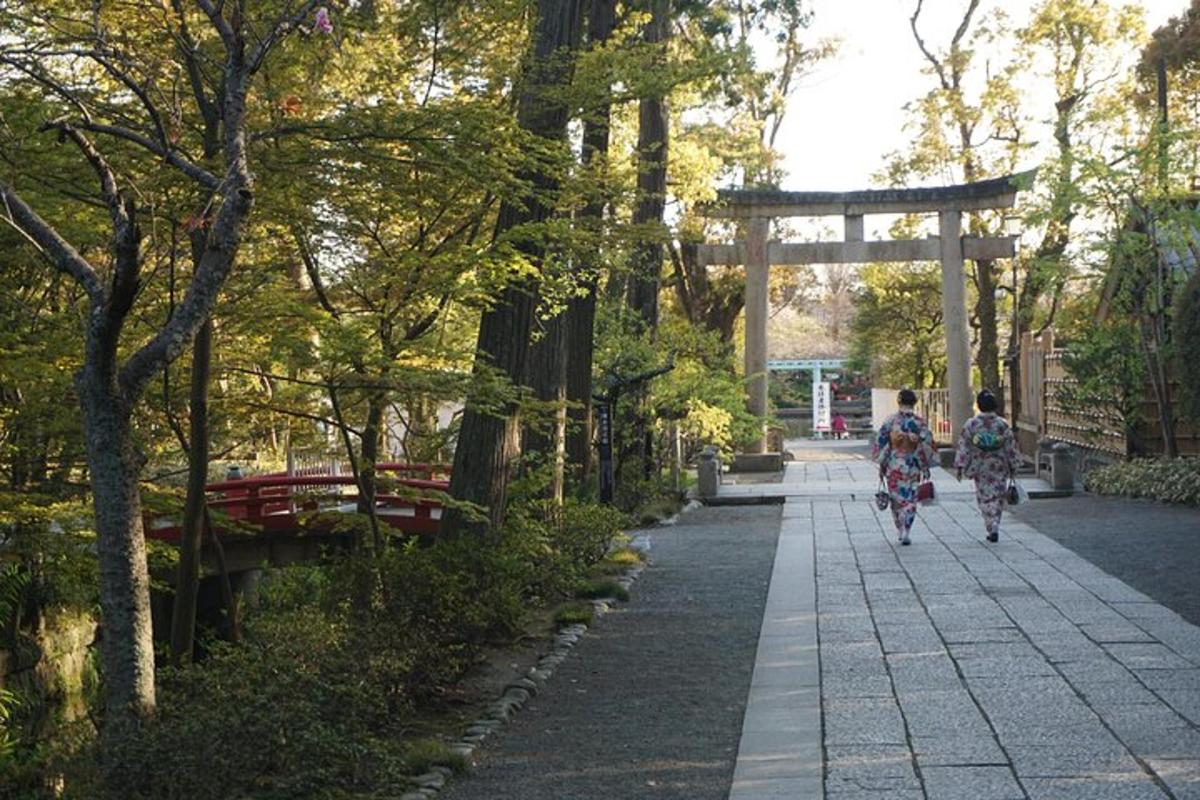 zwei Personen fahren mit dem Fahrrad einen Weg in einem Park entlang