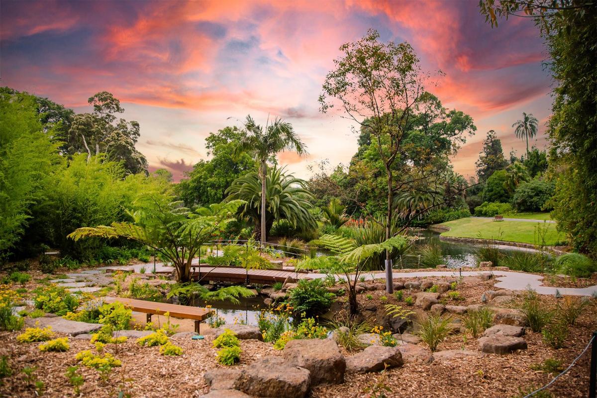 Un jardín con estanque, bancos y árboles.