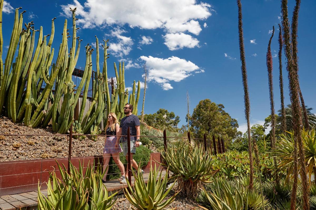 Un hombre y una mujer de pie frente a un cactus.
